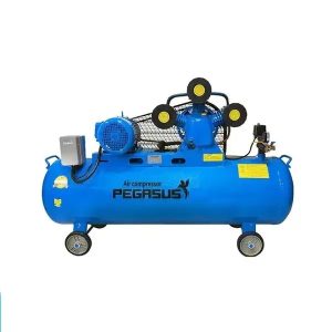 Máy Nén Khí Pegasus 10HP TM-W-0.9/8-230L 380V