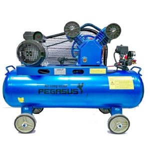Máy Nén Khí Pegasus TM-V-0.17/8-180L (2HP)