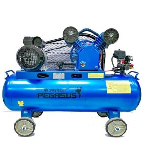 Máy Nén Khí Pegasus 2HP TM-V-0.17/8-120L 220V